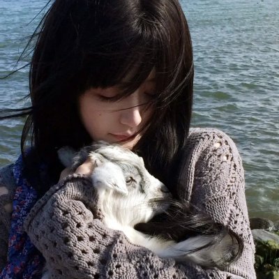 芬妮的勇敢旅程