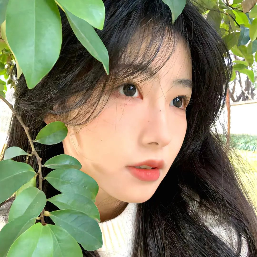少主好凶我好爱第二季
