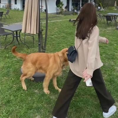 二分之一女儿